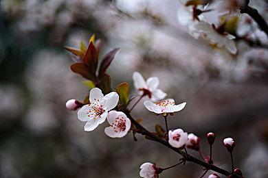 《战争机器：重装上阵》上架Steam 支持繁体中文